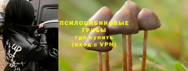 ПСИЛОЦИБИНОВЫЕ ГРИБЫ Абаза