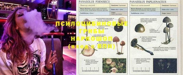 винт Абинск