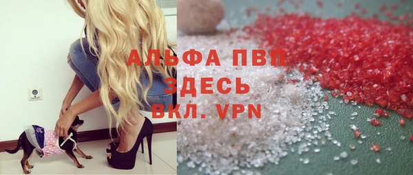ПСИЛОЦИБИНОВЫЕ ГРИБЫ Абаза