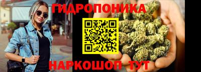 тгк Обь
