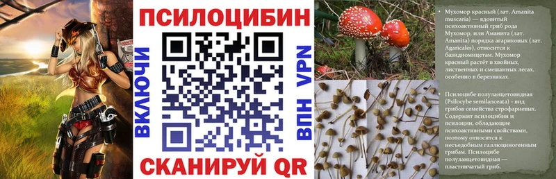 Галлюциногенные грибы ЛСД  где купить наркотик  Дивногорск 