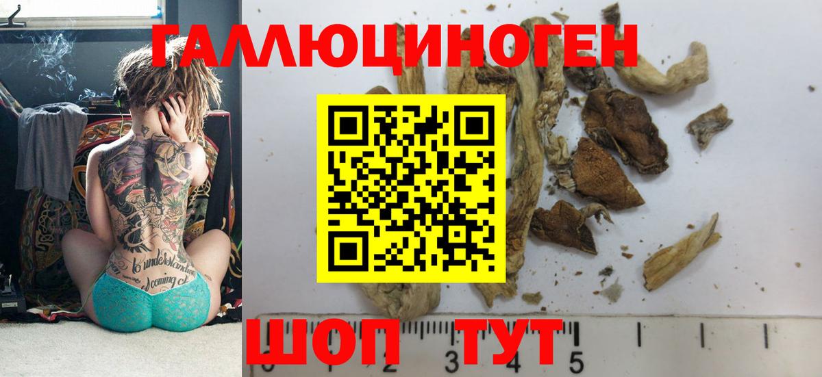 Галлюциногенные грибы мухоморы  Вход с VPN  Дивногорск 